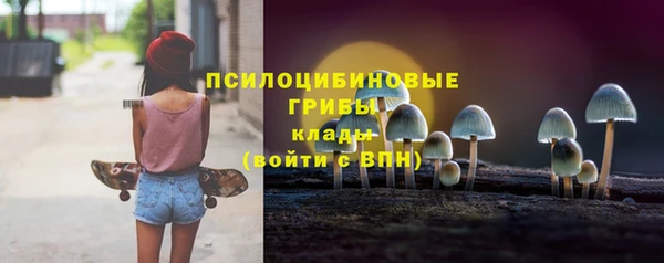 стаф Алексин