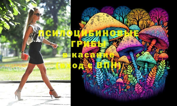 бошки Абинск
