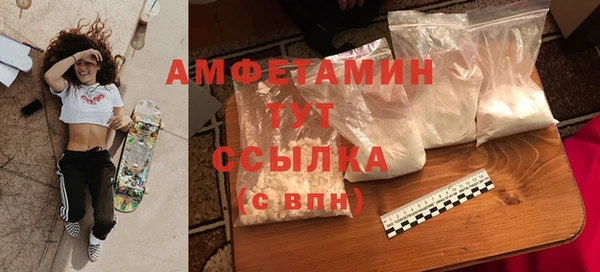 стаф Алексин