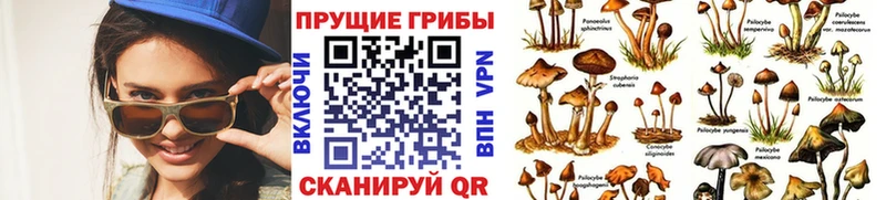 Псилоцибиновые грибы Magic Shrooms гидра ССЫЛКА Барнаул как найти