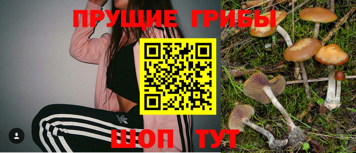 Галлюциногенные грибы прущие грибы  Псилоцибиновые грибы GOLDEN TEACHER  Вход с VPN  Барнаул 
