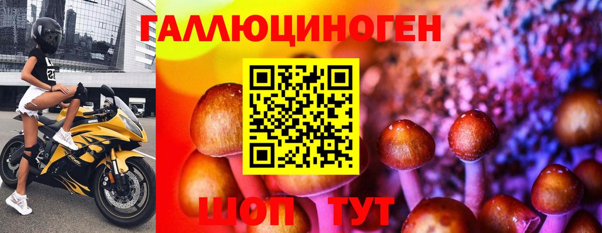 Галлюциногенные грибы Cubensis Барнаул